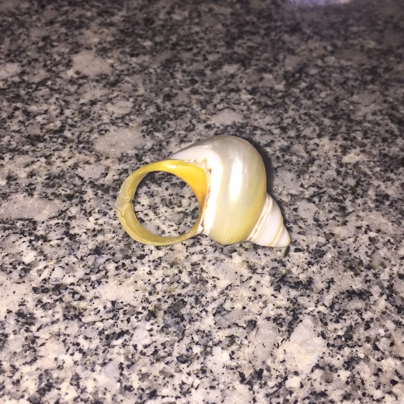 Shell ring - Picture 1 of 2
